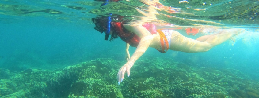 Snorkeling in Waikiki